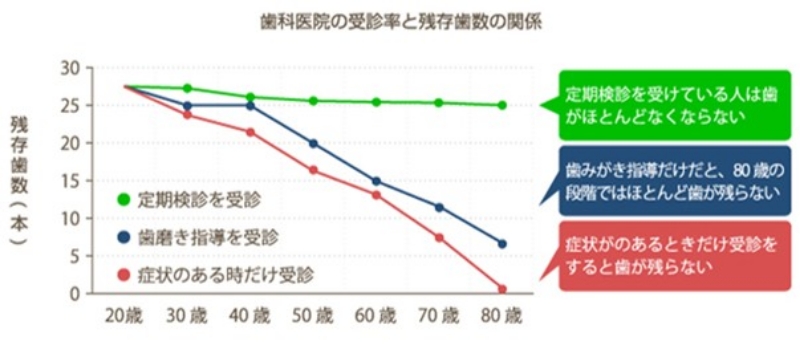 歯科医院の受診率と残存歯数の関係を示したグラフの図